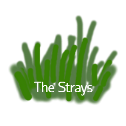 the strays written with tall grass in background